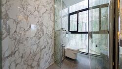 Orchid Village (D11), Semi-Detached #537799401